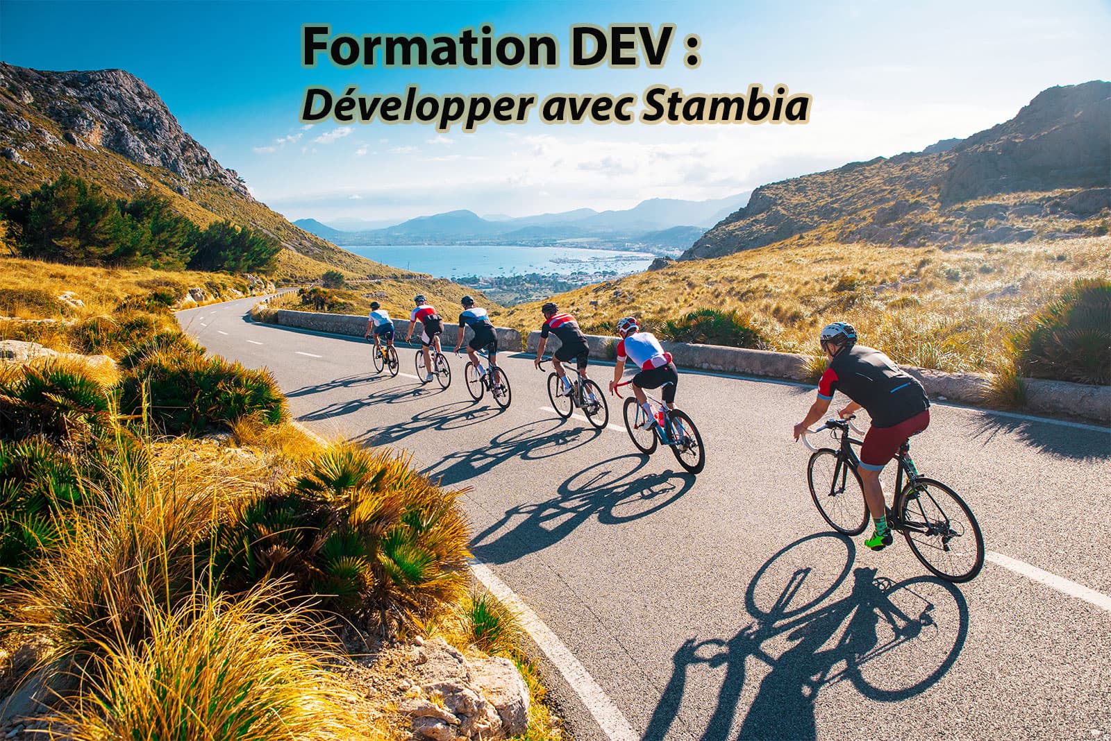 Formation DEV : Développer avec Stambia Data integration